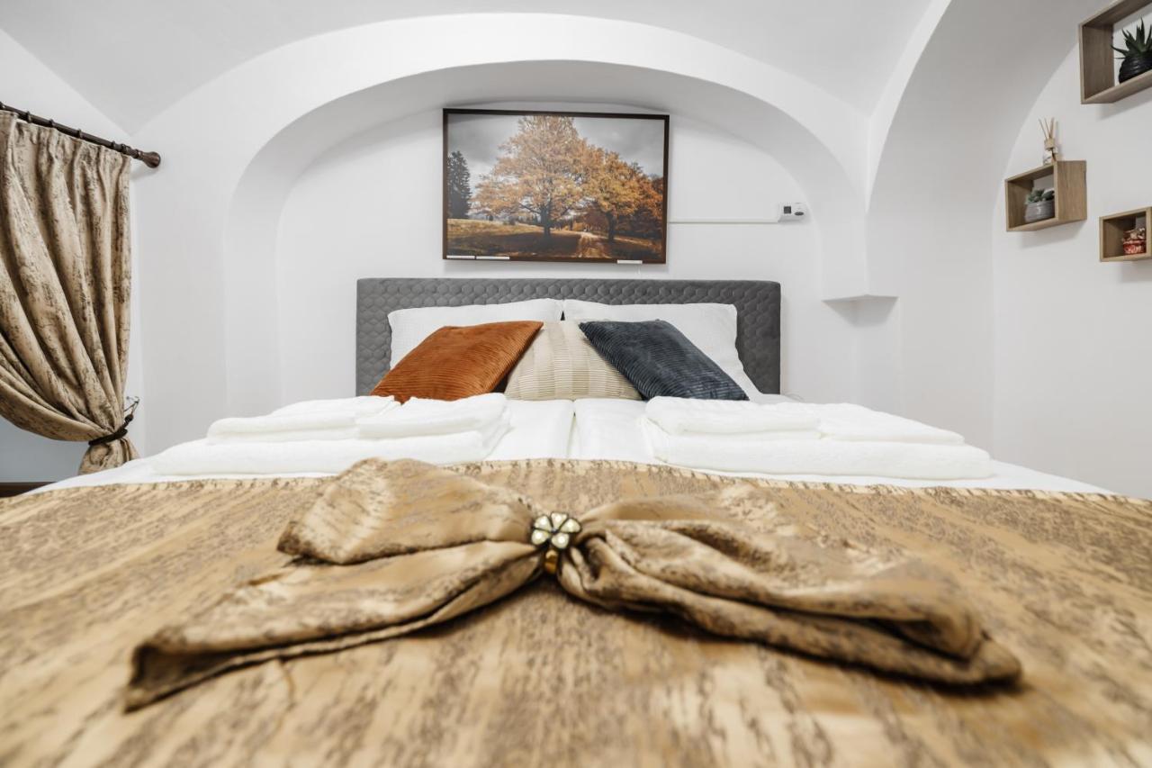 Downtown Cio Apartment Sibiu Exterior foto